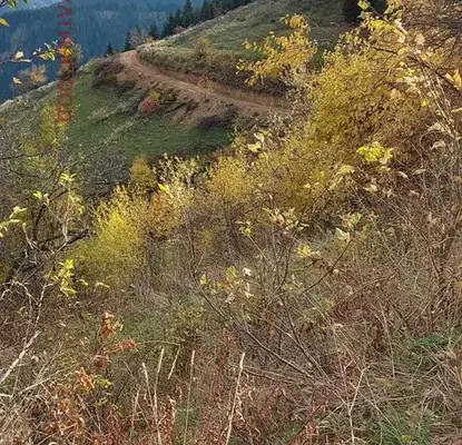 Photo 3 — Plot in Oblast Smolyan, Zornica