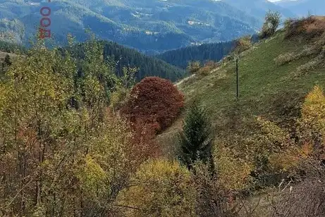 Парцел в Смолян, с. Зорница