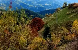 Парцел в Смолян, с. Зорница