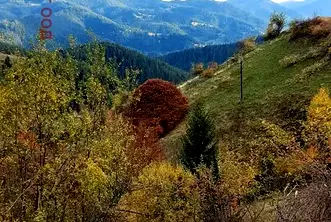 Парцел в Смолян, с. Зорница
