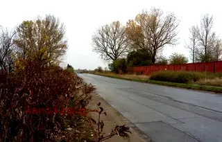 Парцел в София, Елин Пелин