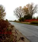 Парцел в София, Елин Пелин