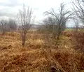 Снимка 3 — Парцел в София, Костинброд