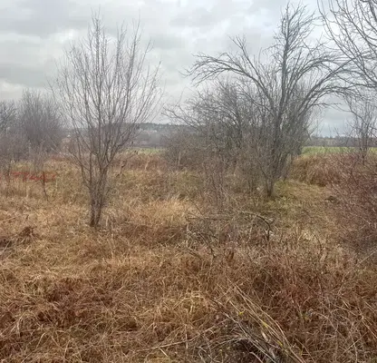 Photo 3 — Plot in област София, Kostinbrod