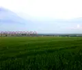 Снимка 3 — Парцел в София, с. Хераково