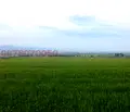 Снимка 4 — Парцел в София, с. Хераково