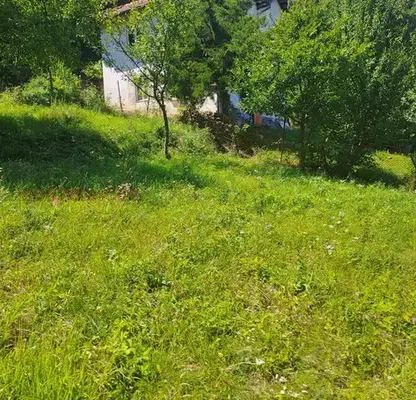 Photo 2 — Plot in област София, с. Ново бърдо
