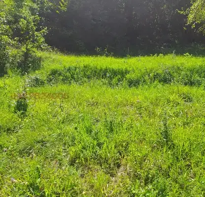 Photo 3 — Plot in област София, с. Ново бърдо