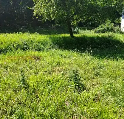 Photo 4 — Plot in област София, с. Ново бърдо