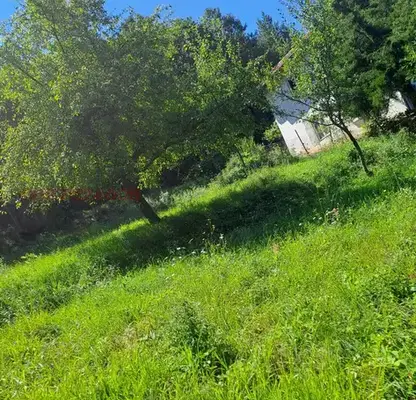 Photo 5 — Plot in област София, с. Ново бърдо