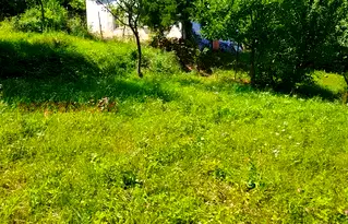 Парцел в София, с. Ново бърдо