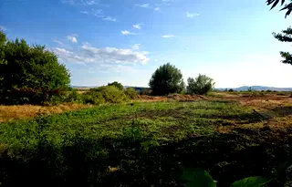 Парцел в София, с. Петърч