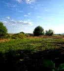 Парцел в София, с. Петърч