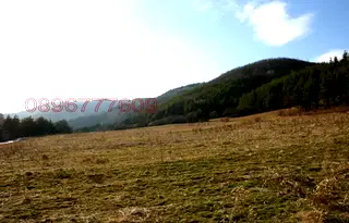 Парцел в София, с. Радуил