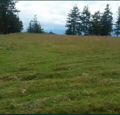 Photo 3 — Plot in област София, Raiovo