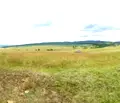 Снимка 5 — Парцел в София, с. Райово