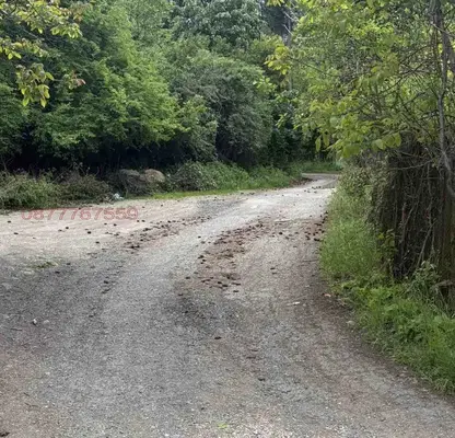 Photo 4 — Plot in област София, Rebrovo