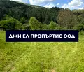 Снимка 4 — Парцел в София, с. Реброво