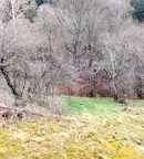 Парцел в София, с. Златуша
