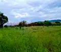 Снимка 4 — Парцел в Стара Загора, с. Братя Даскалови