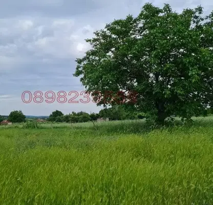 Photo 5 — Plot in Oblast Stara Zagora, Bratya Daskalovi