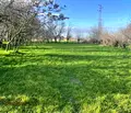 Снимка 2 — Парцел в Стара Загора, с. Коларово