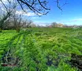 Снимка 3 — Парцел в Стара Загора, с. Коларово