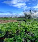 Парцел в Стара Загора, с. Коларово