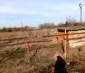 Снимка 5 — Парцел в Стара Загора, с. Мирово