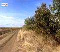 Снимка 4 — Парцел в Стара Загора, с. Тракия