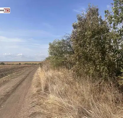 Снимка 4 — Парцел в Стара Загора, с. Тракия