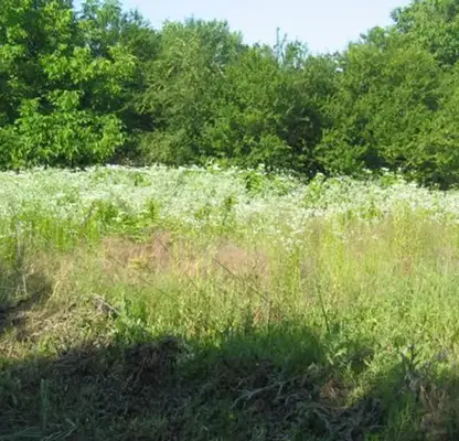 Photo 2 — Plot in Tyrgovishte, Gorica