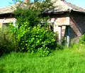 Снимка 3 — Парцел в Търговище, с. Горица