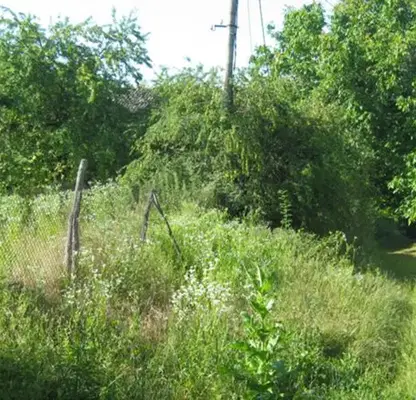 Photo 4 — Plot in Tyrgovishte, Gorica