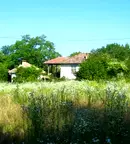 Парцел в Търговище, с. Горица