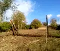Снимка 3 — Парцел в Търговище, с. Помощица