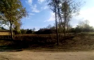 Парцел в Търговище, с. Помощица