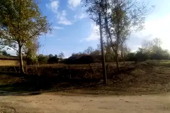 Парцел в Търговище, с. Помощица