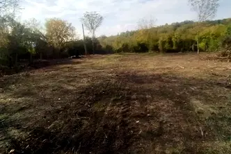 Парцел в Търговище, с. Помощица