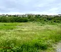 Снимка 2 — Парцел във Варна, Бяла