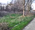 Снимка 5 — Парцел във Варна, Бяла