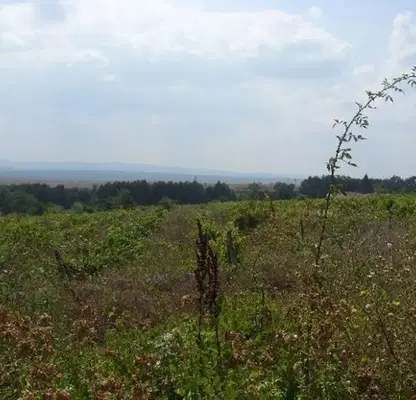 Photo 4 — Plot in Oblast Varna, Byala