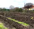 Снимка 5 — Парцел във Варна, Бяла