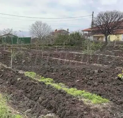 Снимка 5 — Парцел във Варна, Бяла
