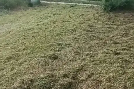 Plot in Oblast Varna, Asparuhovo