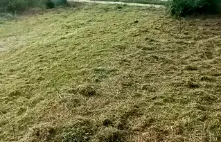 Парцел във Варна, с. Аспарухово