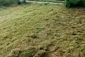 Парцел във Варна, с. Аспарухово