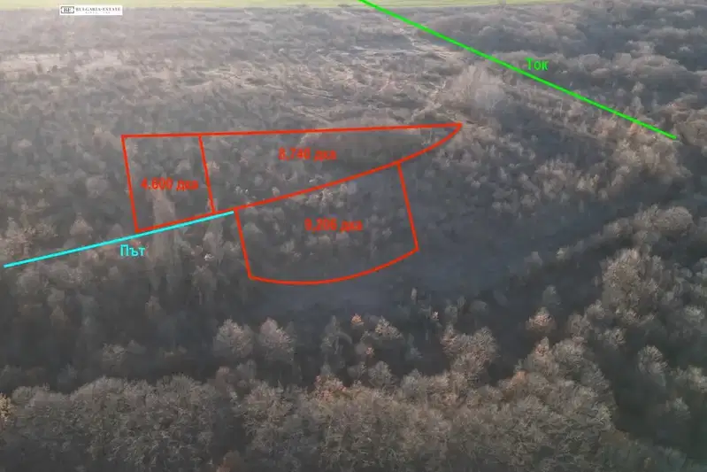 Plot in Oblast Varna, Bliznaci