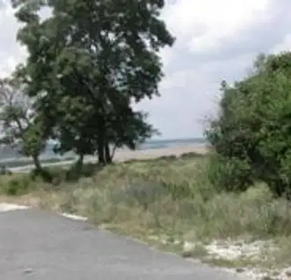 Photo 3 — Plot in Oblast Varna, Bliznaci