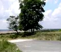 Снимка 4 — Парцел във Варна, с. Близнаци